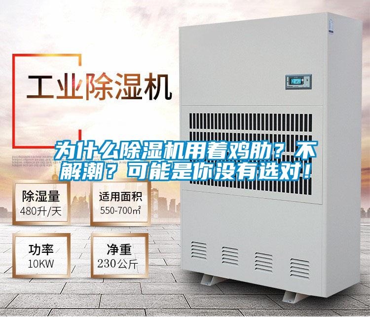為什么除濕機用著雞肋？不解潮？可能是你沒有選對！