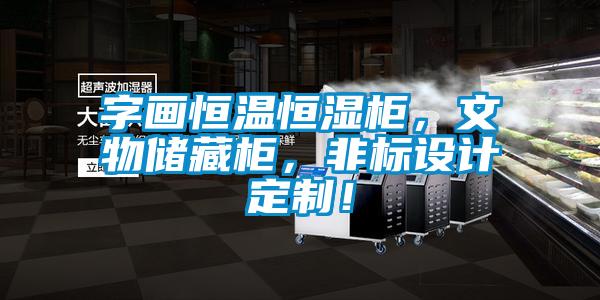 字畫恒溫恒濕柜，文物儲藏柜，非標設計定制！