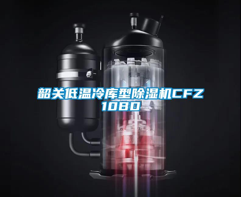 韶關低溫冷庫型除濕機CFZ10BD