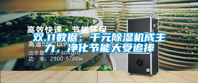 雙.11數據：千元除濕機成主力，凈化節能大受追捧