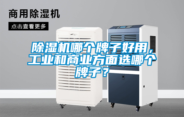 除濕機哪個牌子好用，工業和商業方面選哪個牌子？