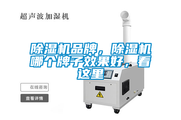 除濕機品牌，除濕機哪個牌子效果好，看這里