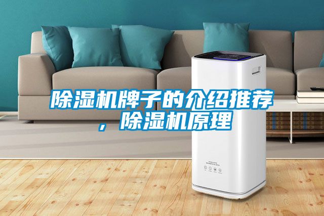 除濕機牌子的介紹推薦，除濕機原理
