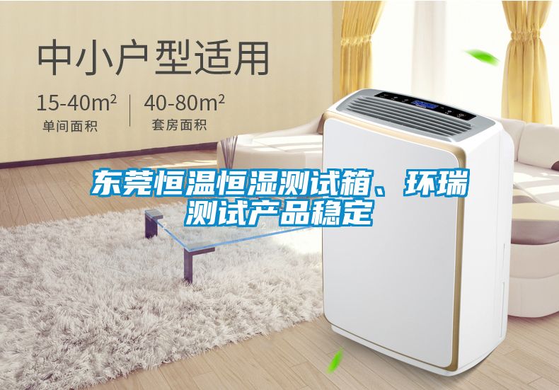 東莞恒溫恒濕測試箱、環瑞測試產品穩定