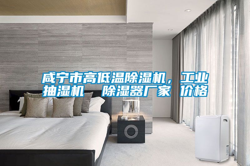 咸寧市高低溫除濕機，工業抽濕機  除濕器廠家 價格