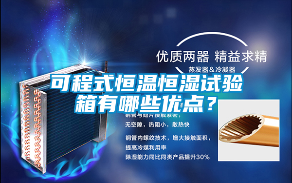 可程式恒溫恒濕試驗箱有哪些優點？