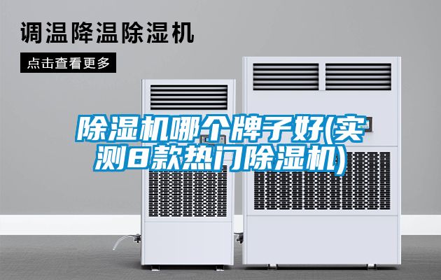除濕機哪個牌子好(實測8款熱門除濕機)
