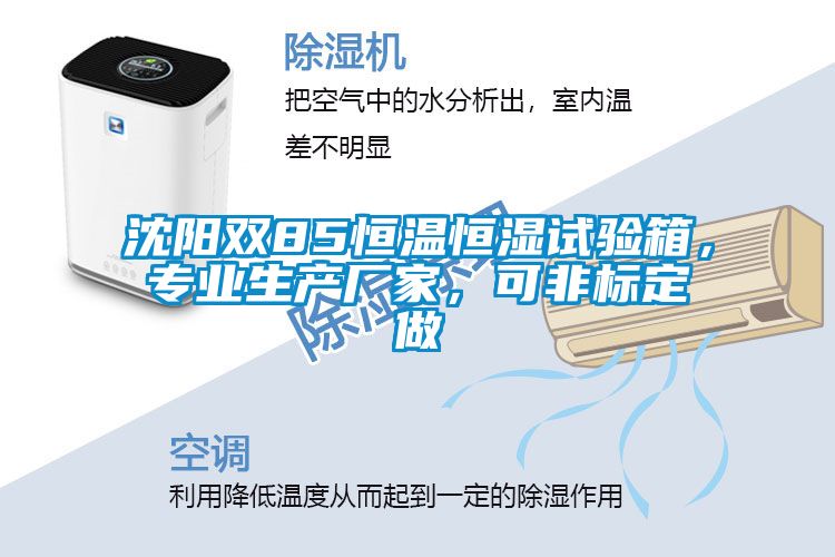 沈陽雙85恒溫恒濕試驗箱，專業生產廠家，可非標定做