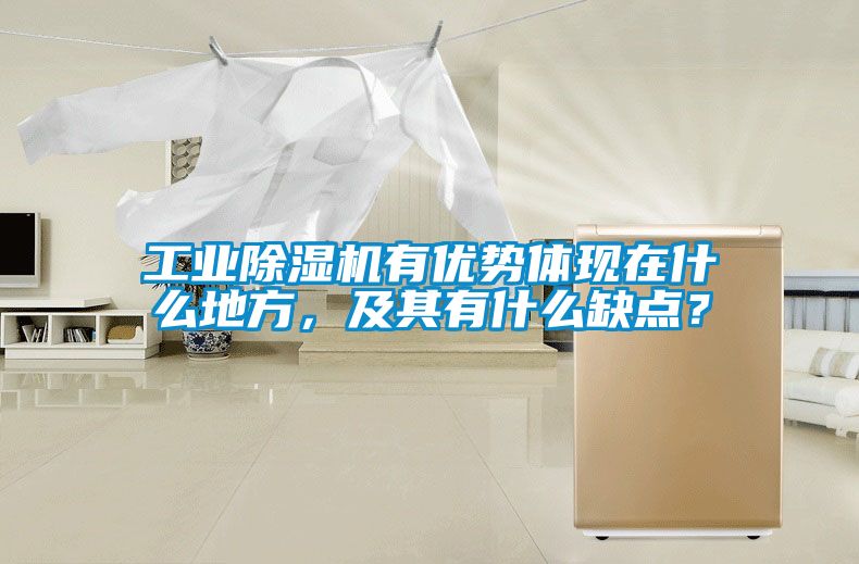 工業除濕機有優勢體現在什么地方，及其有什么缺點？