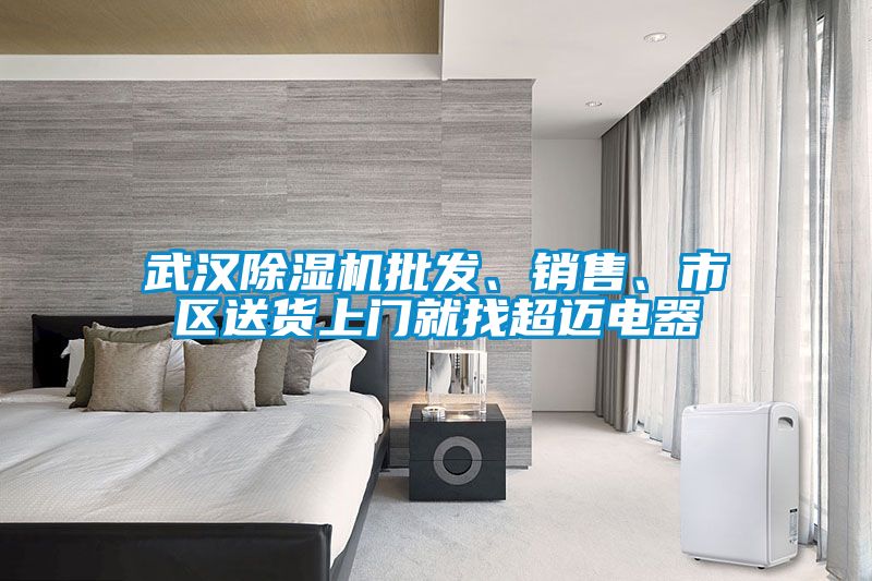 武漢除濕機批發、銷售、市區送貨上門就找超邁電器