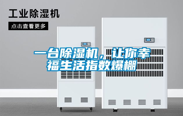 一臺除濕機，讓你幸福生活指數爆棚