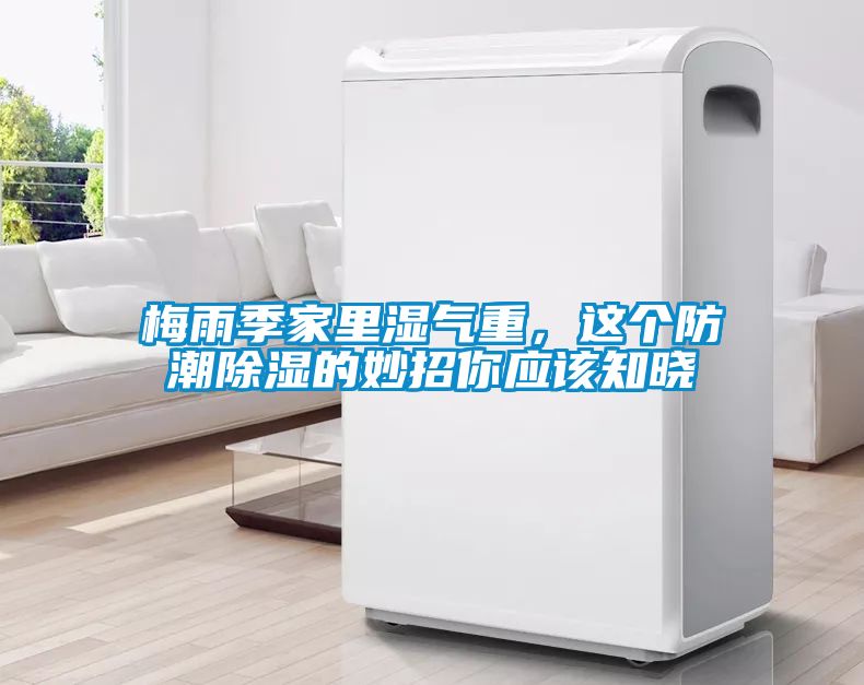 梅雨季家里濕氣重，這個防潮除濕的妙招你應該知曉