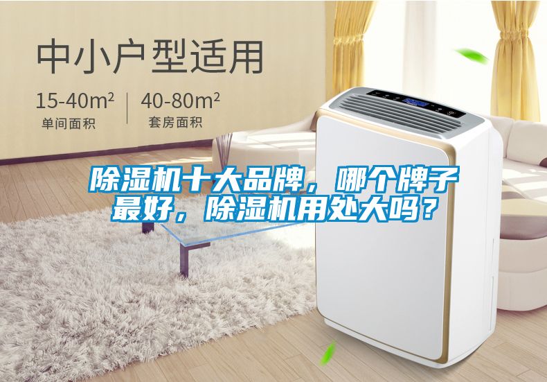 除濕機十大品牌，哪個牌子最好，除濕機用處大嗎？