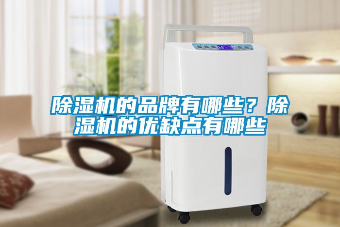 除濕機的品牌有哪些？除濕機的優缺點有哪些