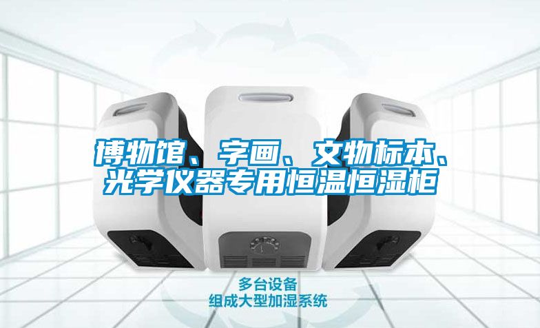 博物館、字畫、文物標本、光學儀器專用恒溫恒濕柜