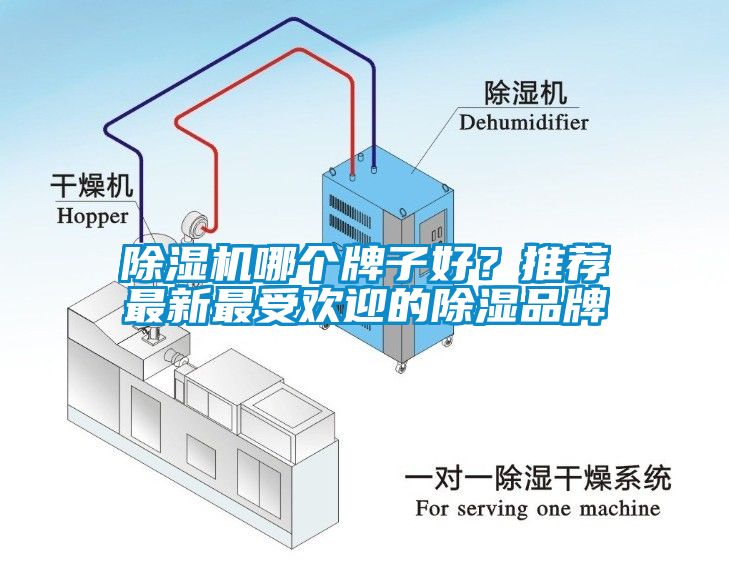 除濕機哪個牌子好？推薦最新最受歡迎的除濕品牌