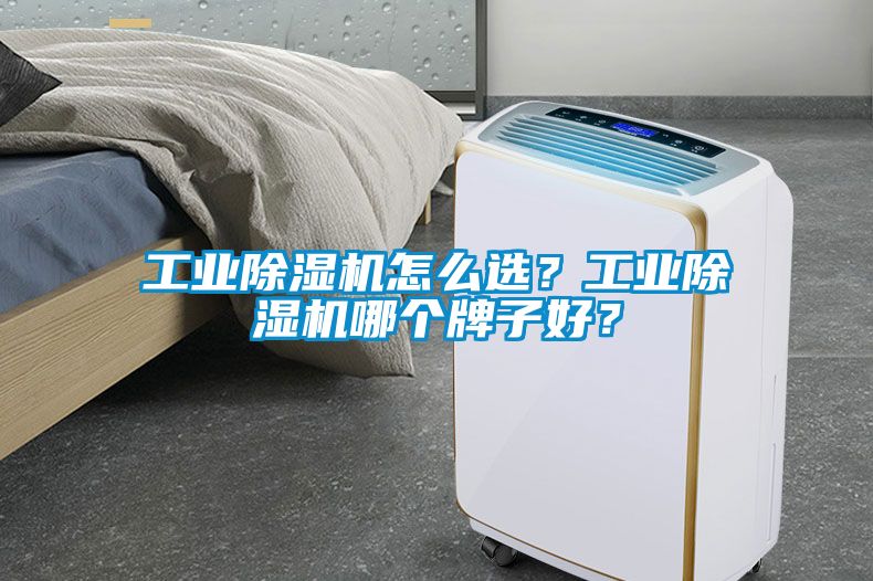 工業除濕機怎么選？工業除濕機哪個牌子好？
