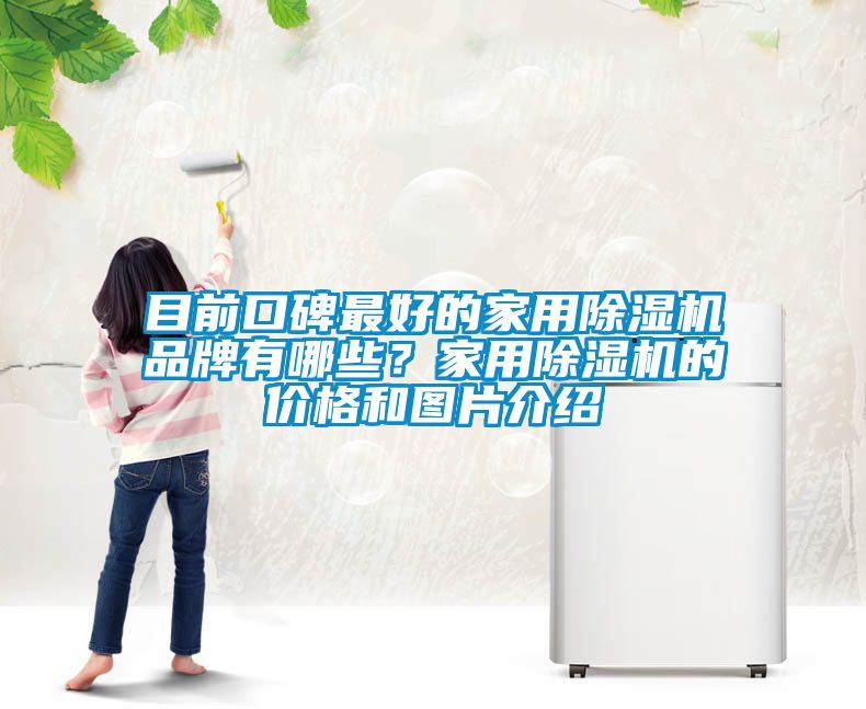 目前口碑最好的家用除濕機品牌有哪些？家用除濕機的價格和圖片介紹