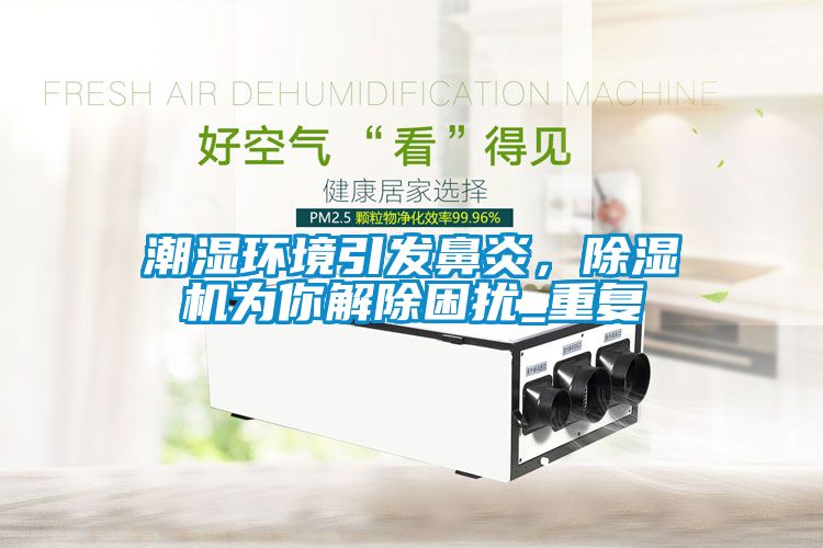 潮濕環境引發鼻炎，除濕機為你解除困擾_重復