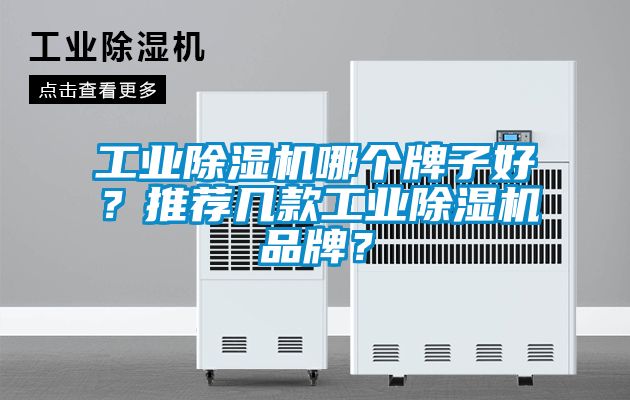 工業除濕機哪個牌子好？推薦幾款工業除濕機品牌？