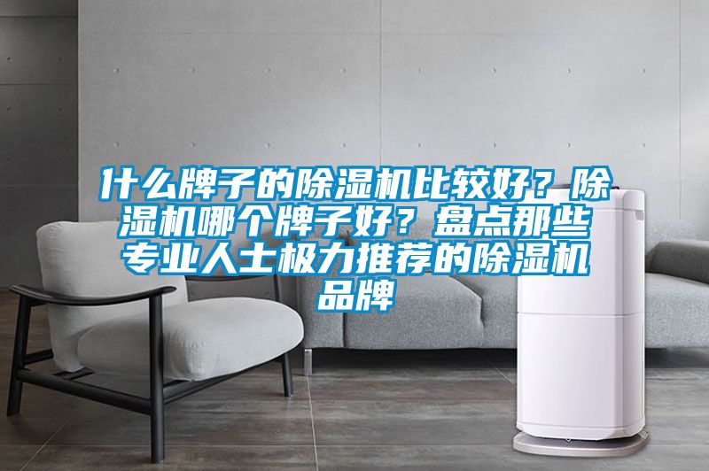 什么牌子的除濕機比較好？除濕機哪個牌子好？盤點那些專業人士極力推薦的除濕機品牌