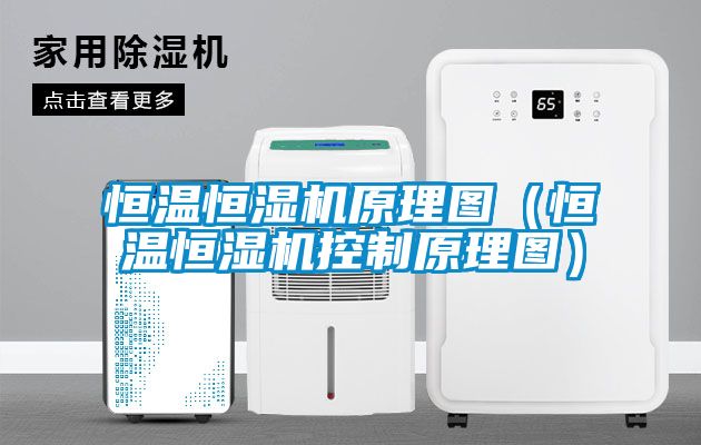 恒溫恒濕機原理圖（恒溫恒濕機控制原理圖）