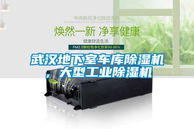 武漢地下室車庫除濕機，大型工業除濕機