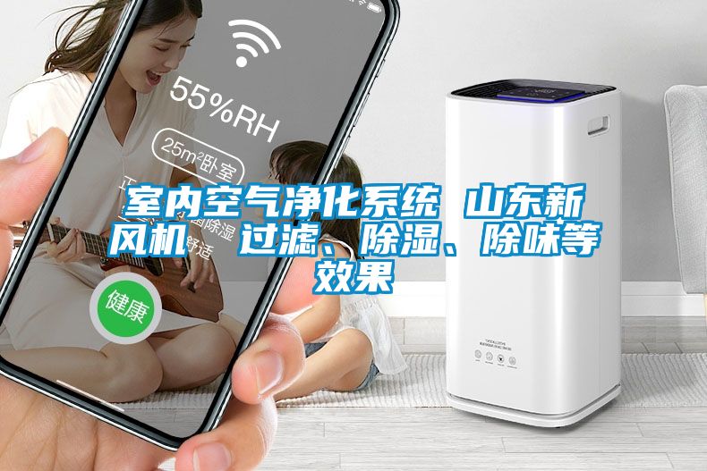 室內空氣凈化系統 山東新風機  過濾、除濕、除味等效果