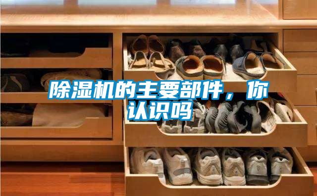 除濕機的主要部件，你認識嗎