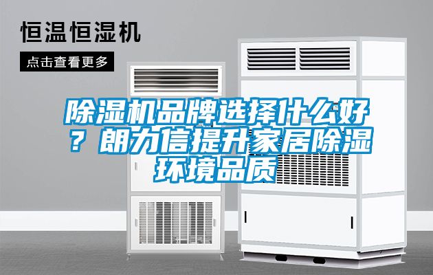 除濕機品牌選擇什么好？朗力信提升家居除濕環境品質