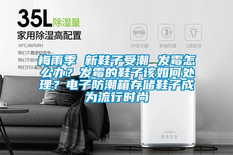 梅雨季 新鞋子受潮 發霉怎么辦？發霉的鞋子該如何處理？電子防潮箱存儲鞋子成為流行時尚